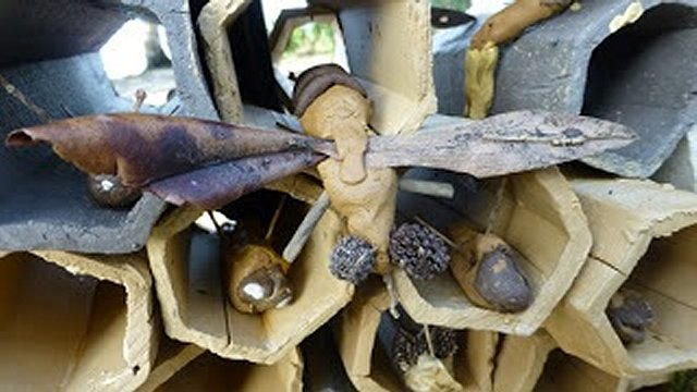 Bees in the hives
